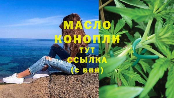 mix Ельня