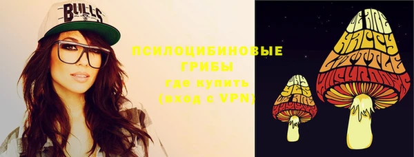 mix Ельня