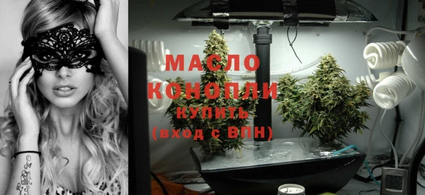 mix Ельня