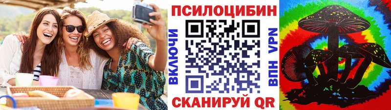 Купить где  Ржев  Галлюциногенные грибы Psilocybe 